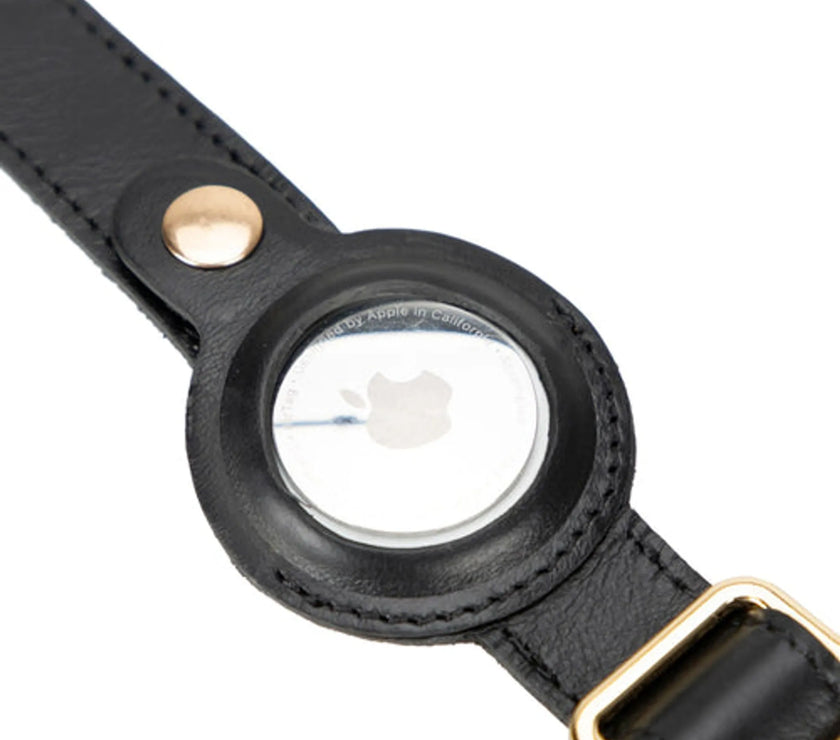 Golden Leather Dog Collars with Apple AirTag Slot