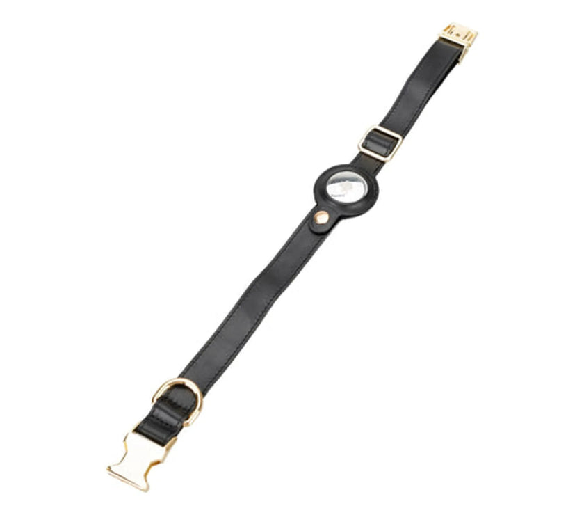 Golden Leather Dog Collars with Apple AirTag Slot