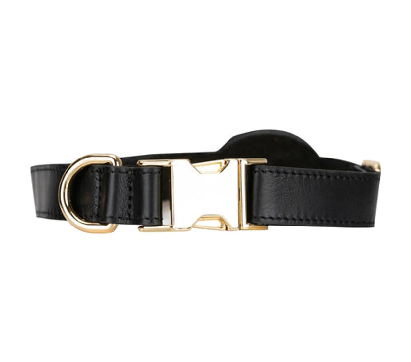 Golden Leather Dog Collars with Apple AirTag Slot