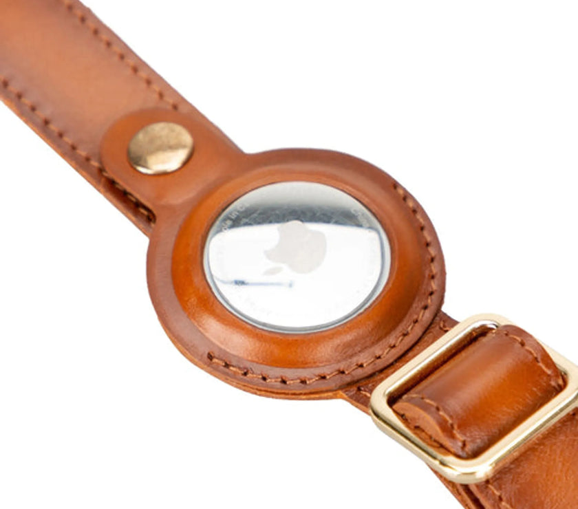Golden Leather Dog Collars with Apple AirTag Slot