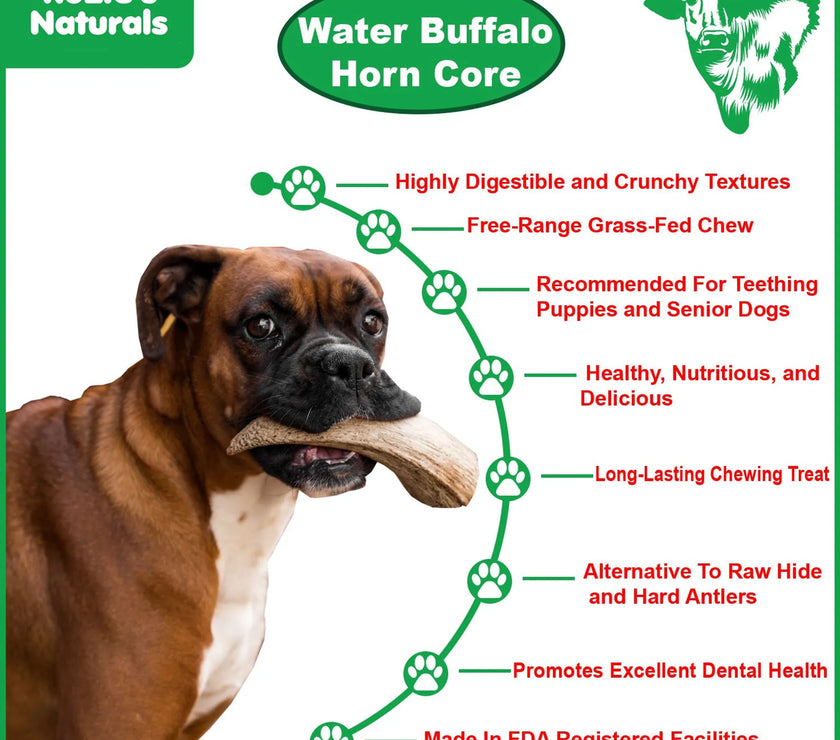 WATER BUFFALO HORN CORE-Horn Inner Part-100% Natural, High Protein, Long-Lasting, Grain-Free, Gluten-Free, Low-Fat, Dog Dental Treats & Chews-2 COUNT-10 oz