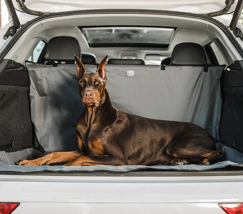 GF Pet  Pet Cargo Cover
