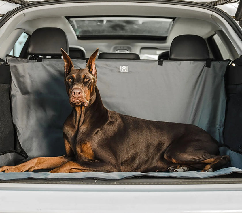 GF Pet  Pet Cargo Cover