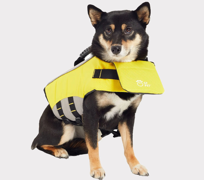 Dog wearing a bright yellow GF Pet Dog Floatation Device life vest with reflective straps and chin flotation flap