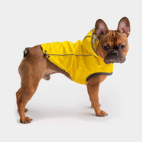 GF Pet Reversible Dog Raincoat for All Weather