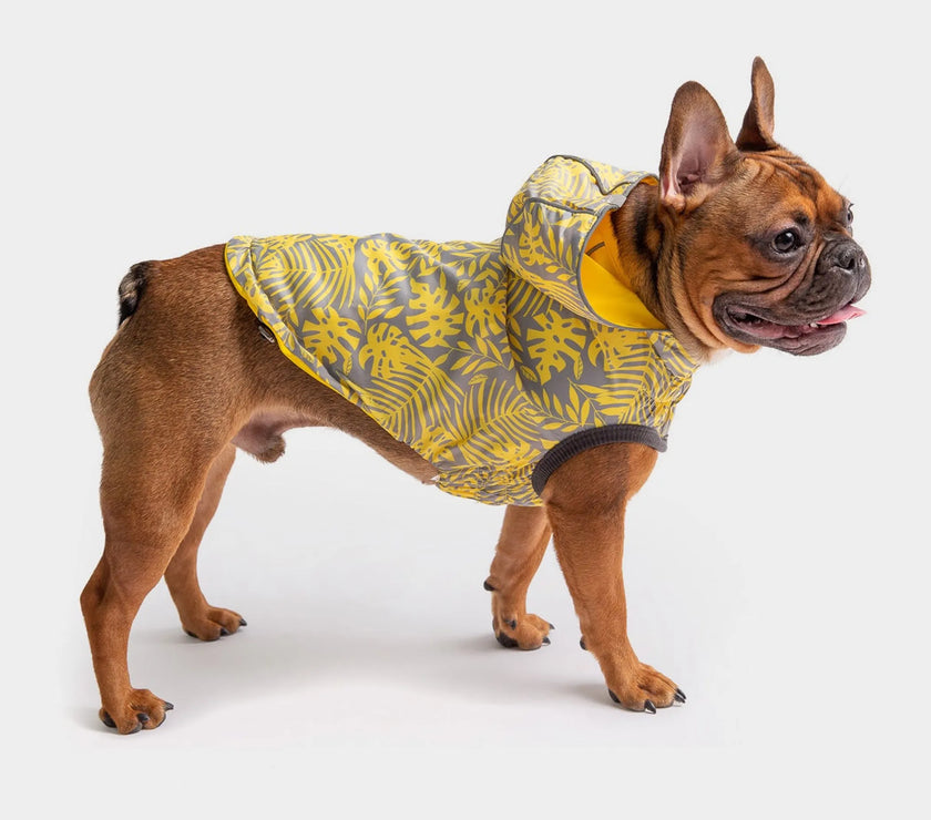 GF Pet Reversible ElastoFit Raincoat