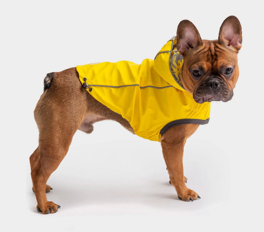 GF Pet Reversible ElastoFit Raincoat