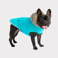 GF Pet Winter Sailor Parka - Cozy Waterproof Dog Coat