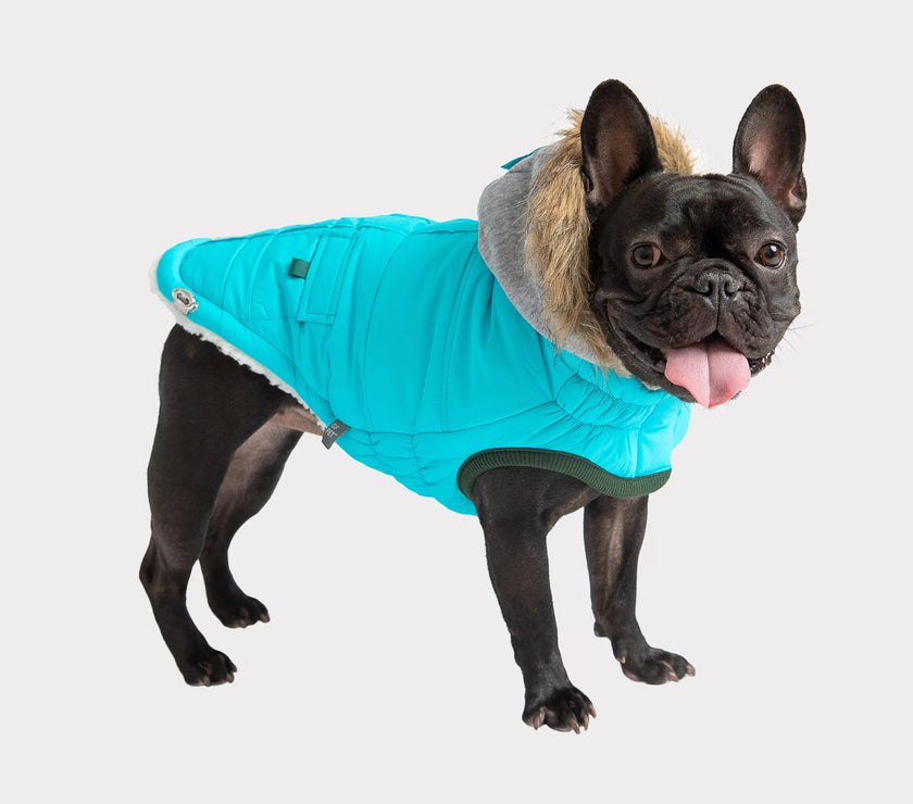 GF Pet  Winter Sailor Parka