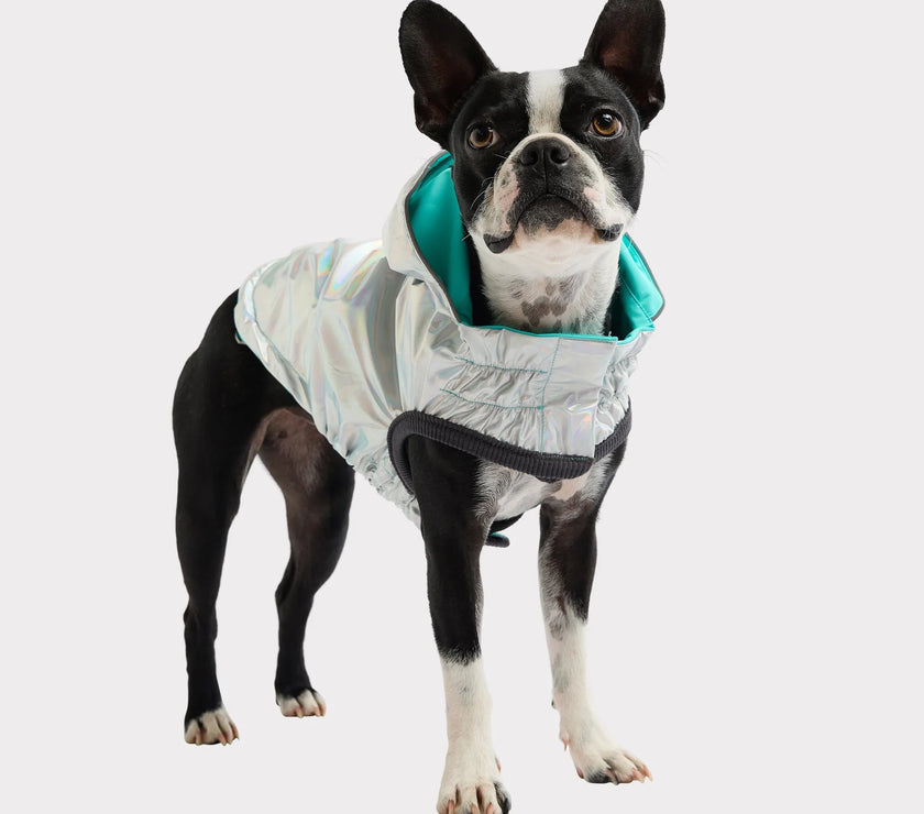 GF Pet Reversible Raincoat