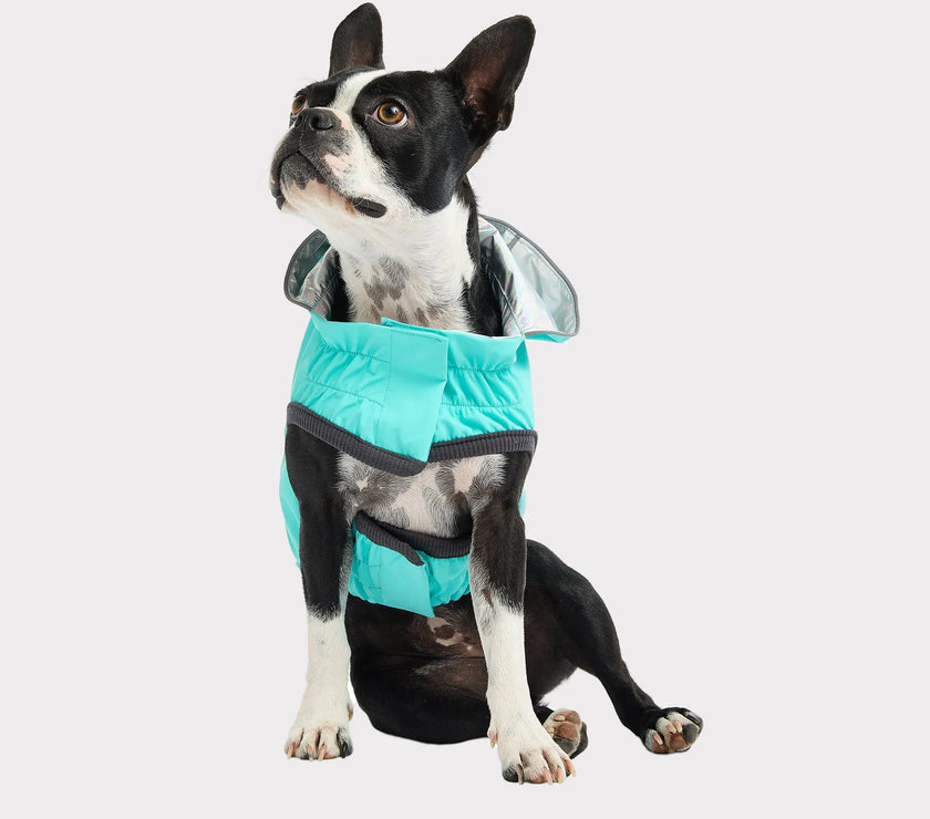 GF Pet Reversible Raincoat