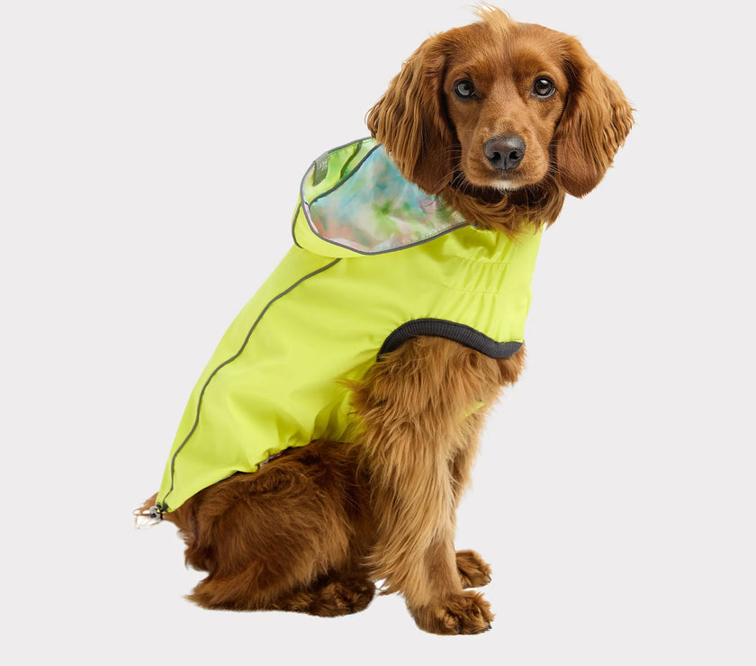 GF Pet Reversible Raincoat