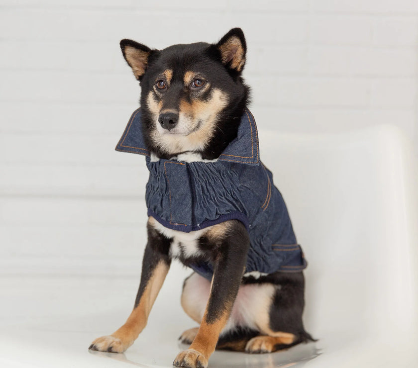 GF Pet Elasto-Fit Denim Dog Jacket