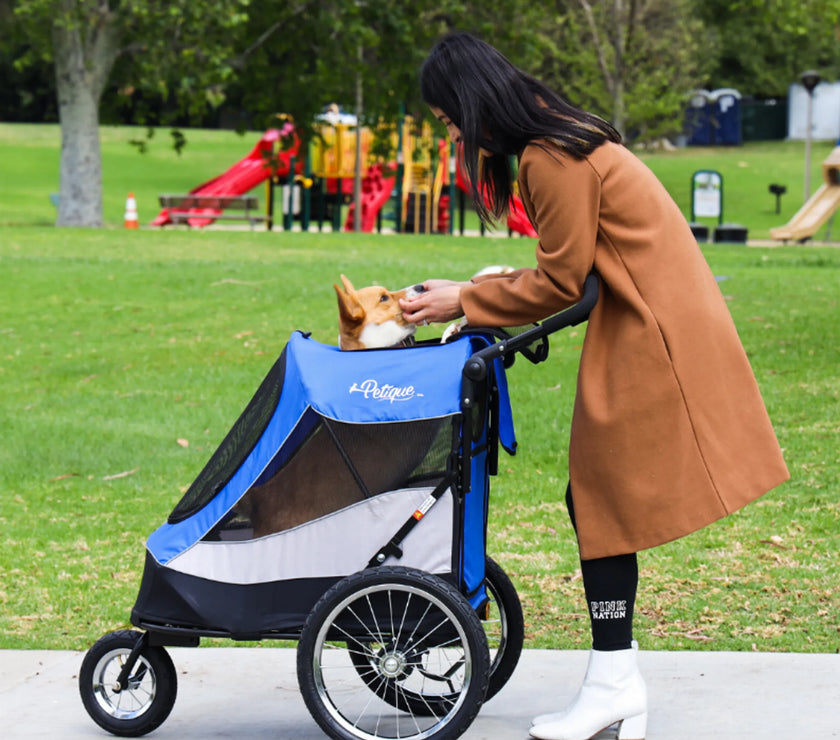 Trailblazer Pet Jogger