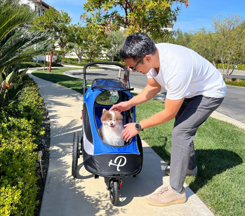 Trailblazer Pet Jogger