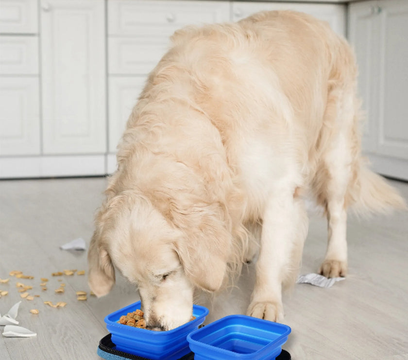 Portabowl Water and Food Bowl