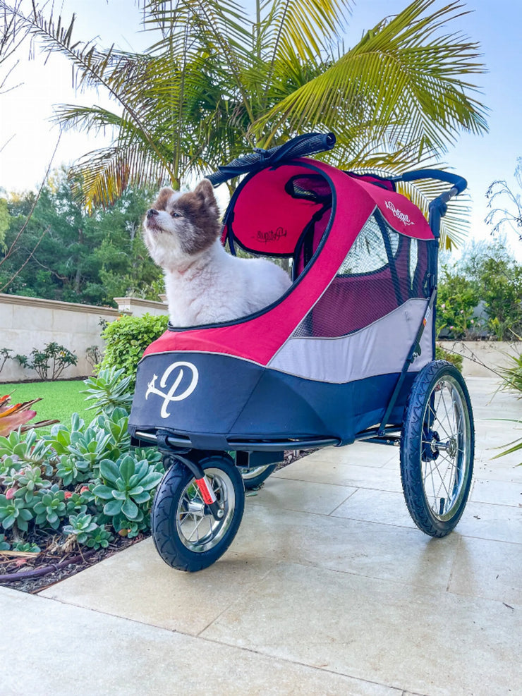 Petique Trailblazer Pet Jogger in red and blue with mesh windows and a small dog inside