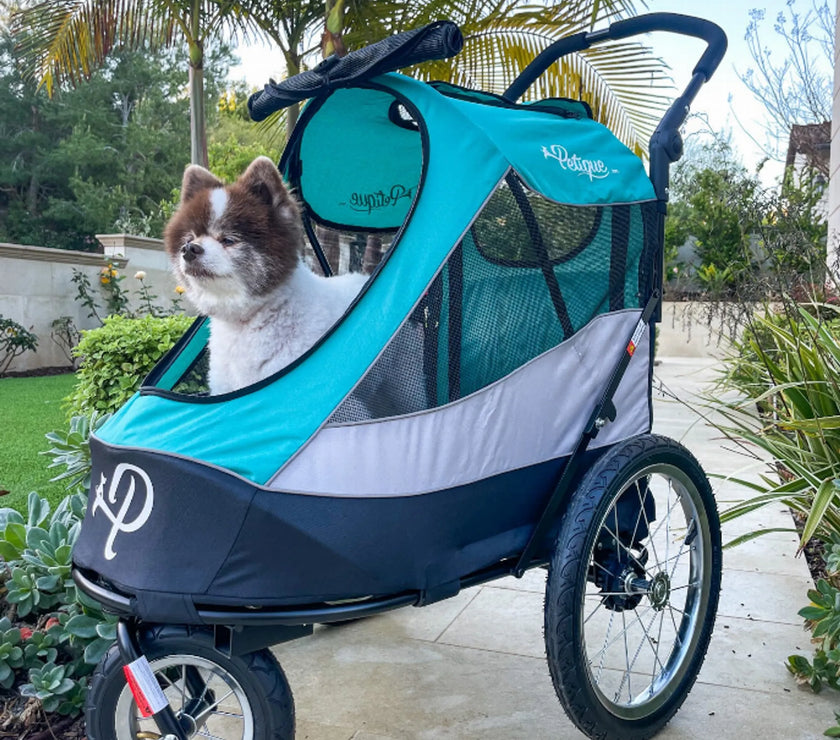 Trailblazer Pet Jogger