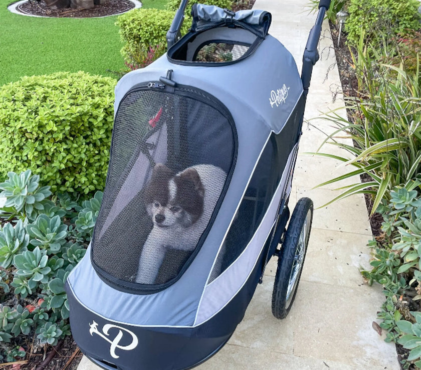 Trailblazer Pet Jogger