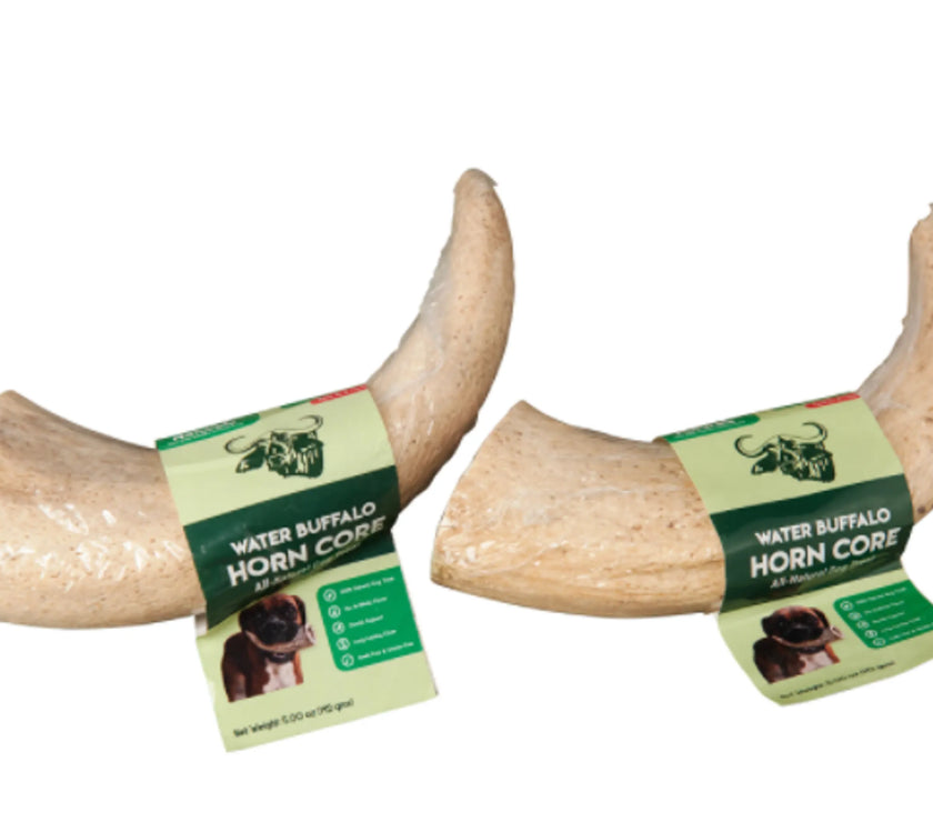 WATER BUFFALO HORN CORE-Horn Inner Part-100% Natural, High Protein, Long-Lasting, Grain-Free, Gluten-Free, Low-Fat, Dog Dental Treats & Chews-2 COUNT-10 oz