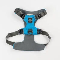 AlphaPak EZ Fit dog harness in blue and gray with adjustable straps for comfort and safety