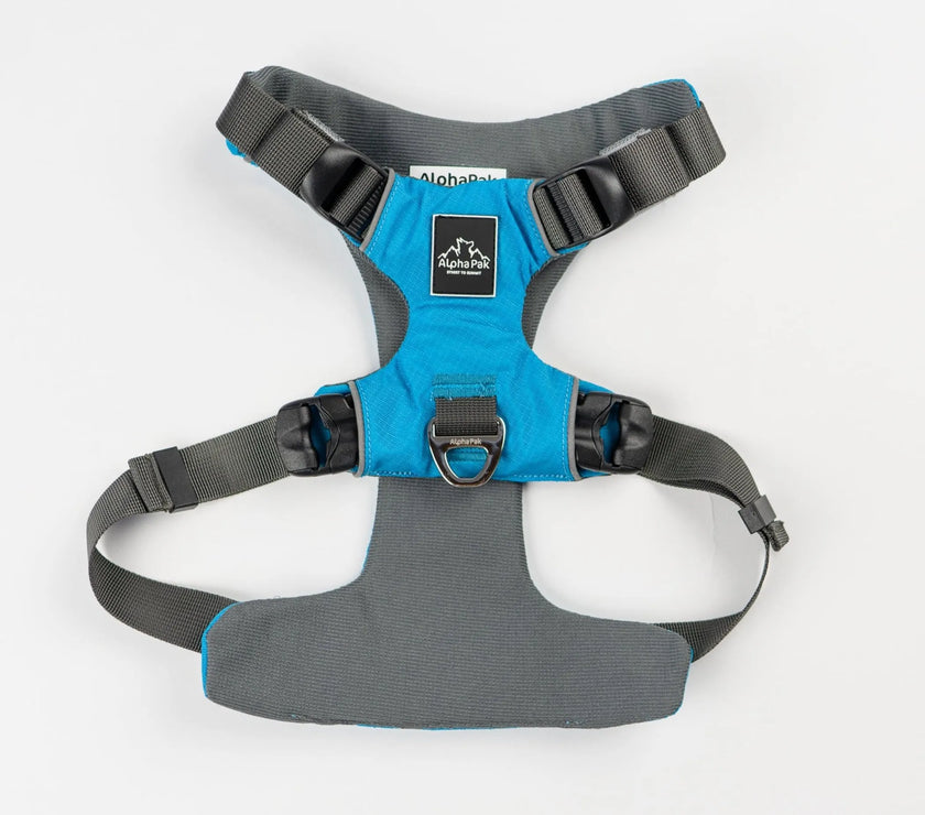 AlphaPak EZ Fit dog harness in blue and gray with adjustable straps for comfortable fit