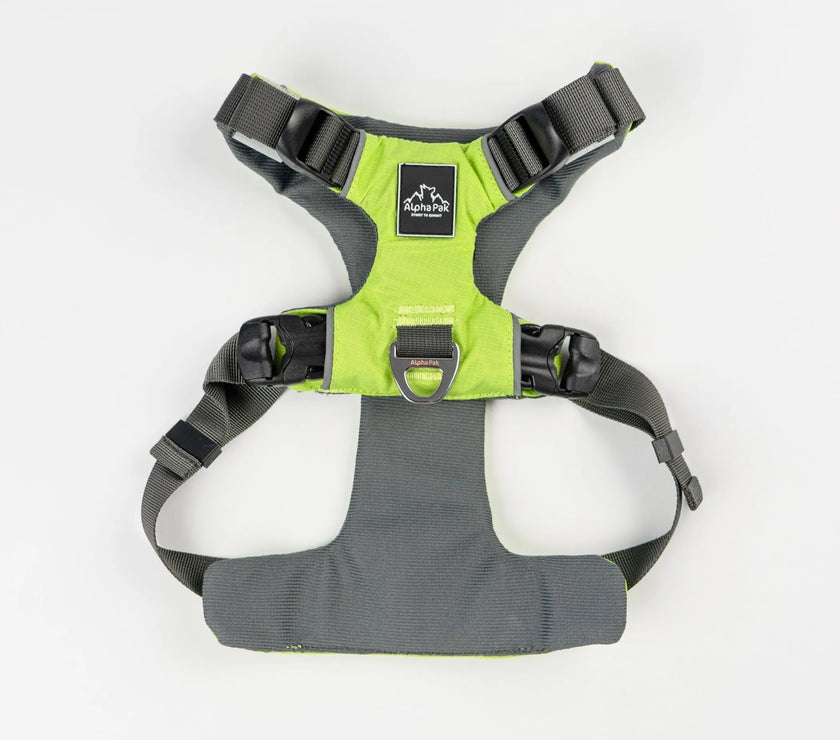 AlphaPak EZ Fit dog harness in vibrant green designed for comfort and easy adjustment