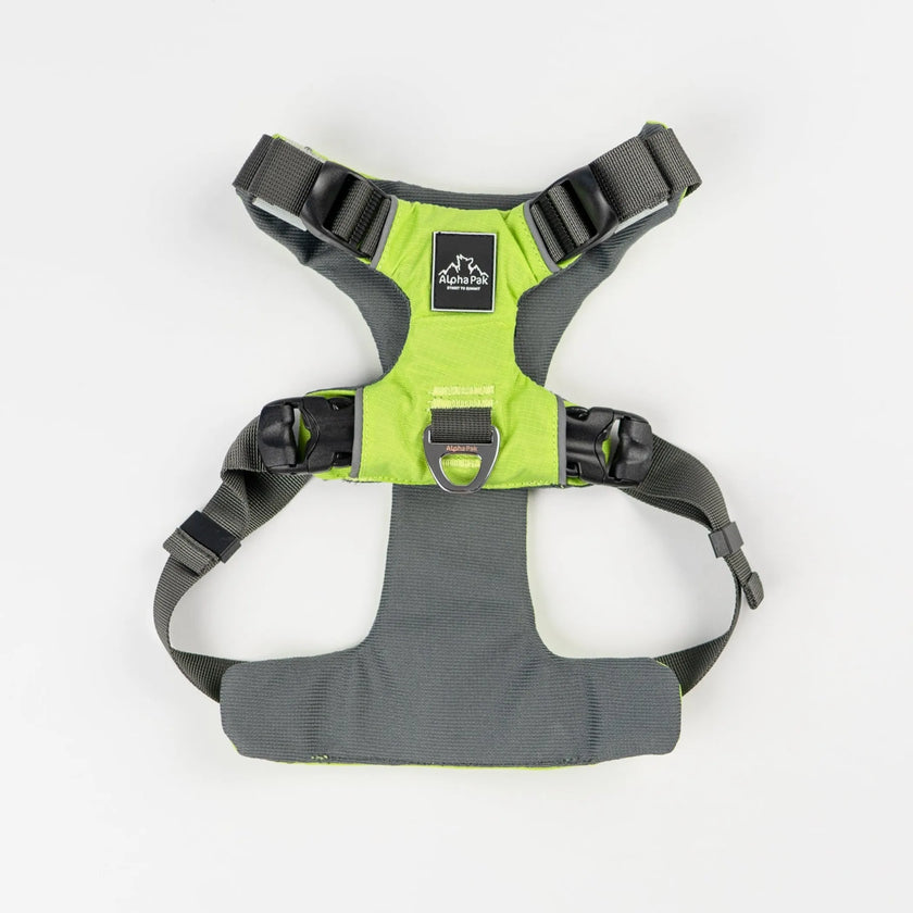AlphaPak EZ Fit dog harness in bright green for comfortable and secure pet walking