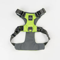 AlphaPak EZ Fit dog harness in bright green with adjustable straps for comfortable pet wear