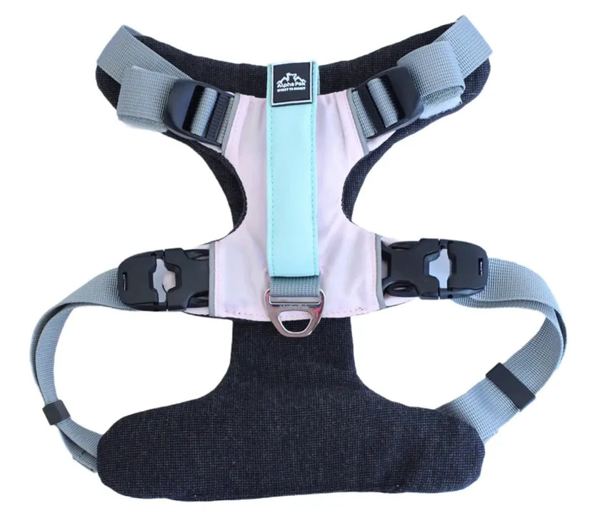 AlphaPak EZ Fit dog harness in gray and mint with adjustable straps for comfort and safety